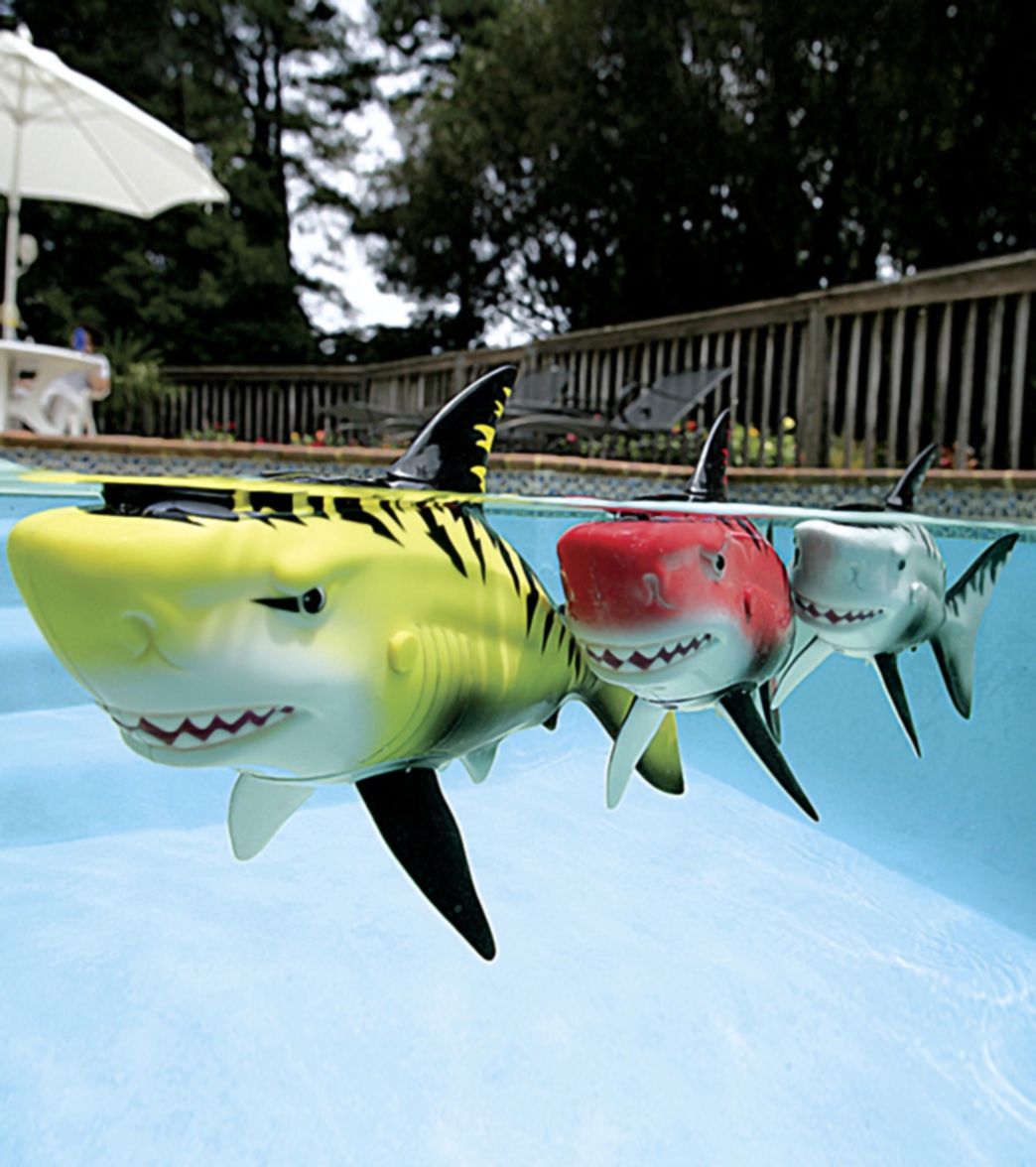 pool shark toy