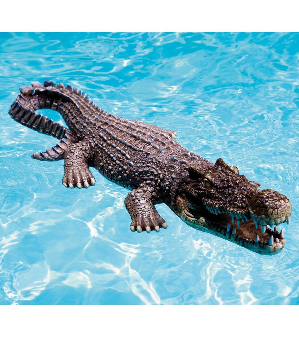 crocodile floatie