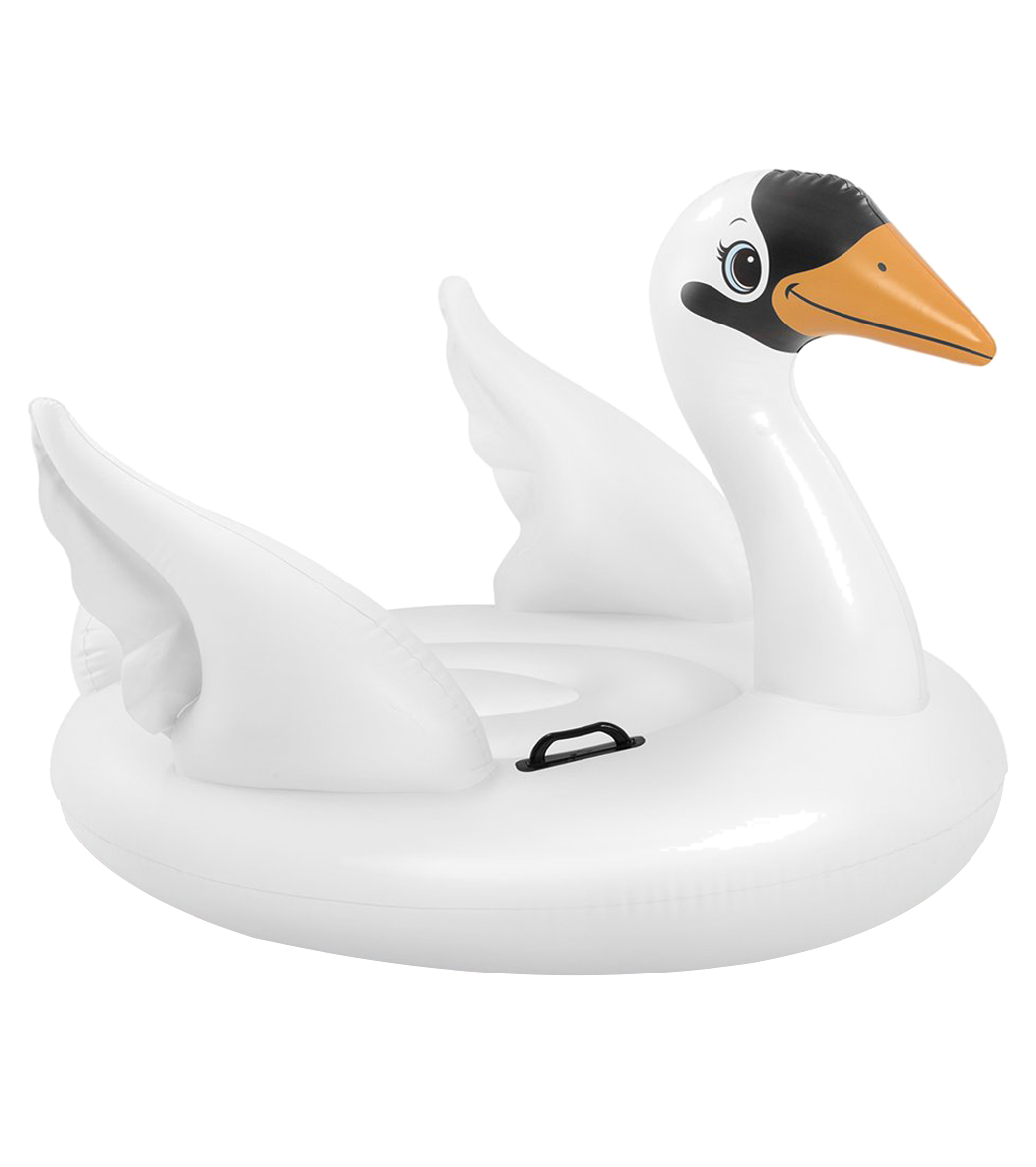 water floats & loungers