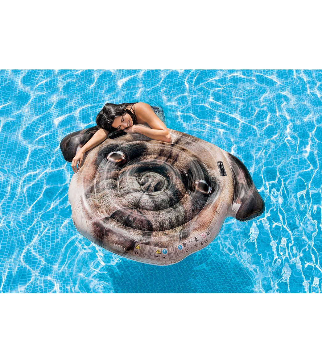 Intex Pug Face Island Pool Float Multi Color - Swimoutlet.com