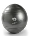 SPRI Elite Xercise Ball