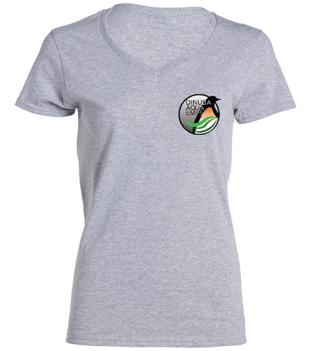 V-Neck Womens - Gildan Women's Cotton V-Neck T-Shirt