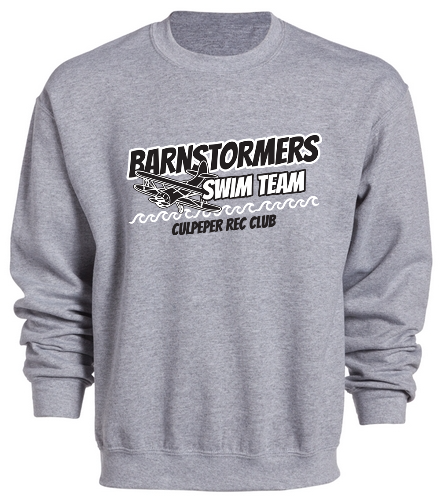 Barnstormers Crew - Gildan Unisex Heavy Blend Crewneck Sweatshirt