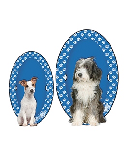 dog beach gear