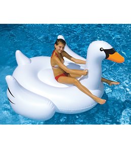 Pool Toys & Games at SwimOutlet.com