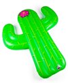 cactus pool float