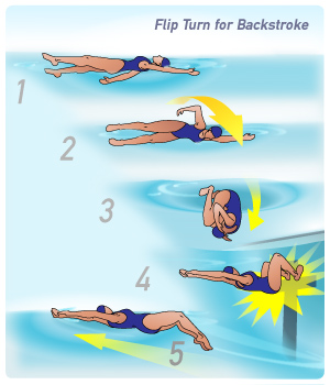 How to Do a Backstroke Flip Turn - swimoutlet-dev