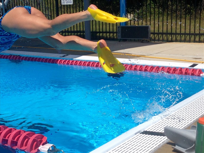 2016 Top Training Fins Compared Swimoutlet Sdo Nemesis Swim Fins