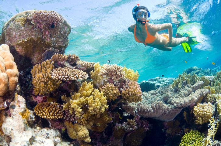 Water Shoes to Explore Coral Reefs 