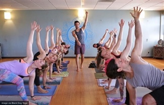 Yoga Studio of the Month: Black Dog Yoga in Sherman Oaks, CA –