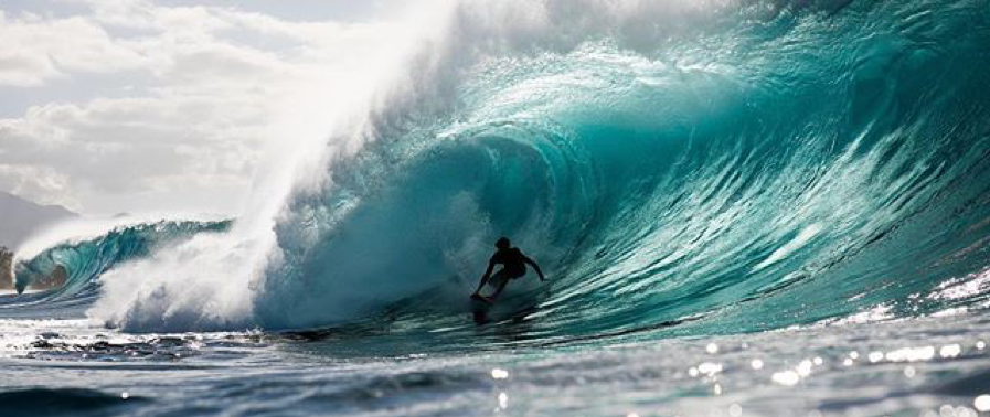 Vissla Swimwear