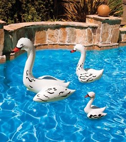 Poolmaster 28
