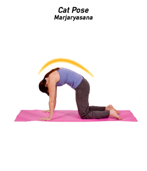 Cat Pose – Marjaryasana