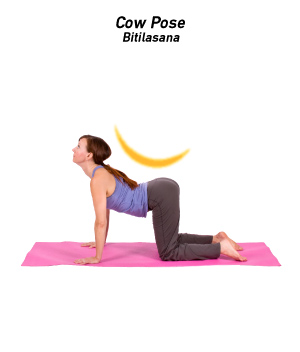 Yoga Poses for Beginners –