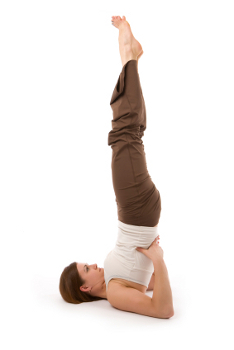 Salamba Sarvangasana: Shoulderstand - Hugger Mugger