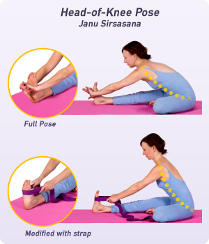 Yoga Pose: Head to Knee Forward Bend Pose