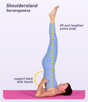 Supported Shoulder Stand (Salamba Sarvangasana) Dimensions & Drawings